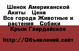 Шенок Американской Акиты › Цена ­ 35 000 - Все города Животные и растения » Собаки   . Крым,Гвардейское